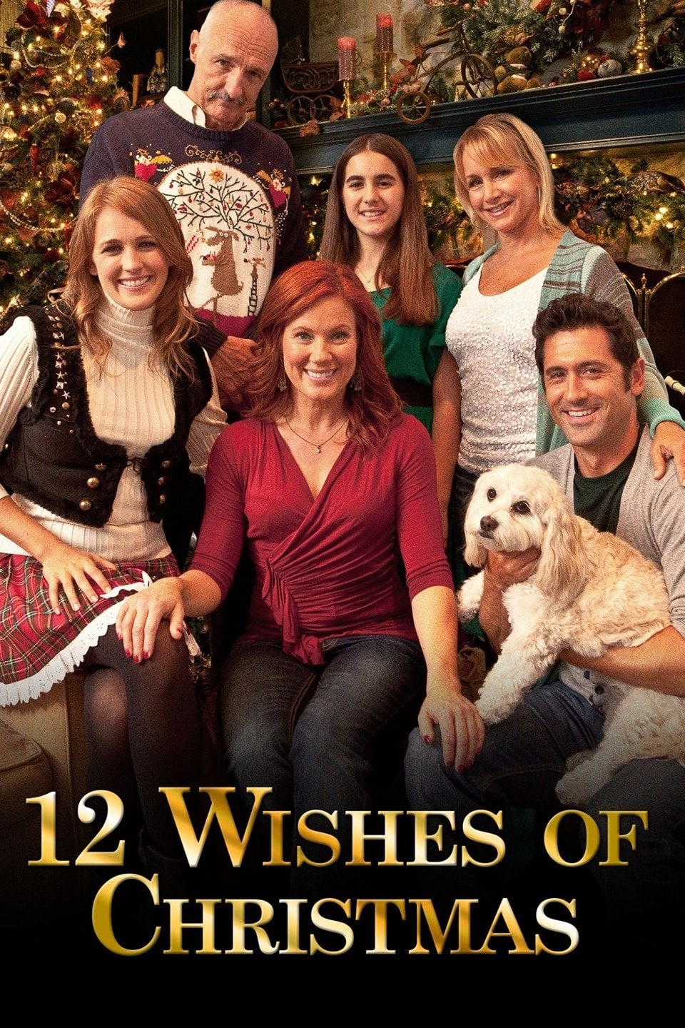 Постер 12 Wishes of Christmas